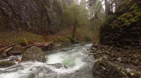 Aerial Mountain River Oregon Stock-Footage 59564677