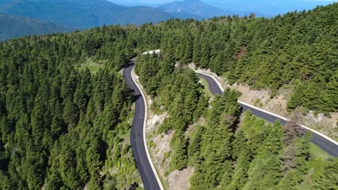 Aerial mountain road crossing dense evergreen forest on alpine slope Stock Footage 343946053