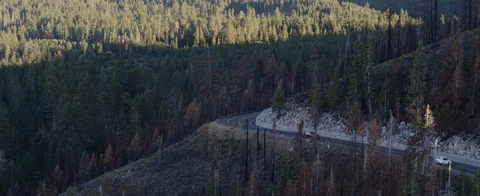 Aerial of mountain road surrounded with dense forest Stock Footage 92053483