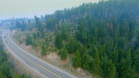 Aerial Mountain Side Forest Misty Road, Above Tree Top Scenic Nature Landscape Stock Footage 97347255