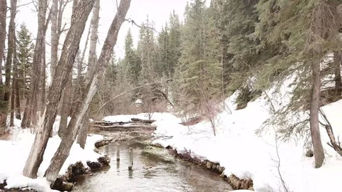 Aerial of Mountain Stream Stock Footage 89455529