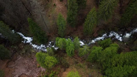 Aerial mountain stream forest 4k drone italy. Stock Footage 319501214