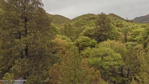 Aerial of mountain trees 4K Vídeos de archivo 117404216