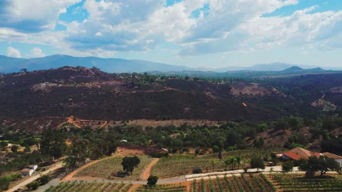 Aerial mountain views with vineyard rows of wine grapes, 4K drone footage Stock Footage 232752777