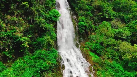 Aerial Mountain Waterfall Flowing Through Forest 4K Video stock 341864291