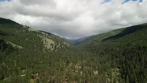 Aerial of mountains in Bitterroot National Forest in Montana in summer Stock Footage 311944021