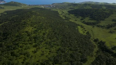 Aerial, Mountains Range, Ocean, Summer, Deciduous Forest, Road Stock Footage 163097471