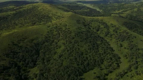 Aerial, Mountains Range, Summer, Clear, Forest, Sun Stock Footage 163095932