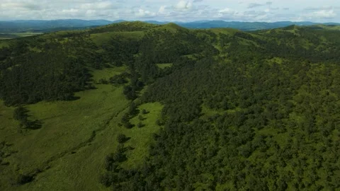 Aerial, Mountains Range, Summer, Clear, Forest, Sunny Stock Footage 163096020