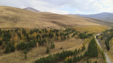 Aerial mountains trees Stock Footage 238737152
