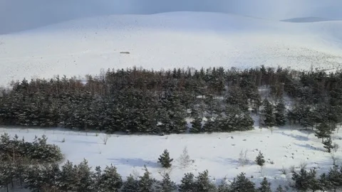 Aerial mountains winter forest Video stock 263288919