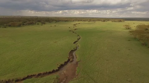 Aerial move along creek on green african plain, Kenya Stock Footage