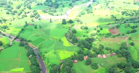 Aerial Move Alongside Cloud Shadow Over Green Tropical Forest Village in India Stock Footage 154861086