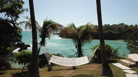 Aerial Move Over Hammock Between Palm Trees In Serene Tropical Vacation Setting Video stock 147293854