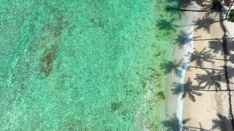Aerial Moving Away From Gently Lapping Tropical Waves Washing Up On A Sandy Stock Footage 154564853