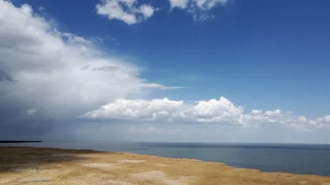 Aerial moving backwards and looking down onto a marshy meadow next to lake Stock Footage 292690979