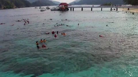 Aerial  moving down view of tourists at the beach, snorkelling and swimming. Vidéo 162644581