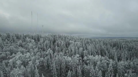 Aerial moving forward above a large snow covered forest under gray clouds Stock Footage 257724403