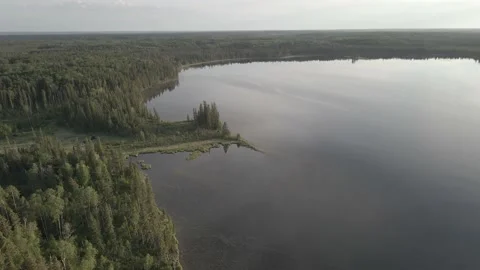 Aerial moving forward and looking down onto a calm lake surrounded by forest Stock Footage 220083047