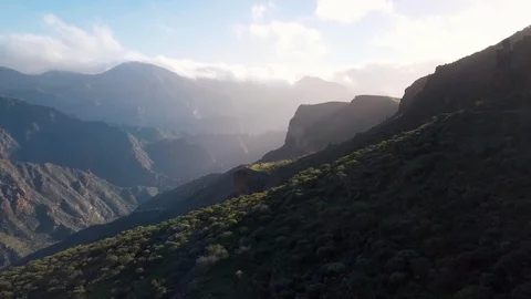 Aerial moving forward in a green valley at sunset in Canary Islands 4K Video stock 101565014