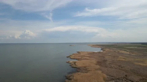 Aerial moving forward low over a shoreline of dry grass next to a large lake Stock Footage 229800997