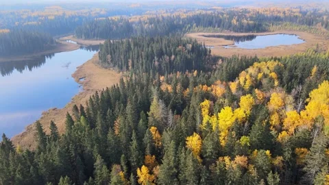 Aerial moving forward over a autumn colored forest and two small lakes Stock Footage 219637255