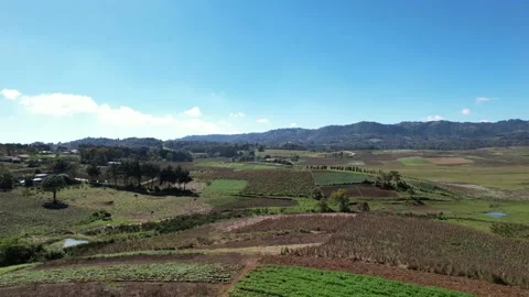 Aerial Moving Forward Over Lush Rolling Farmlands Vídeo Stock 233457623