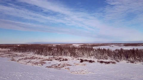 Aerial moving forward over a snow covered farm fields towards a forest  Stock Footage 220959755