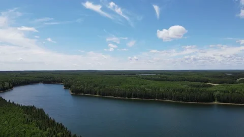 Aerial moving forward over a vast green forest and a deep blue colored lake Stock Footage 220082968