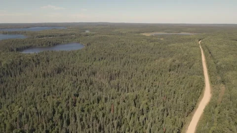 Aerial moving forward over a vast evergreen forest with small lakes and road Stock Footage 289028326