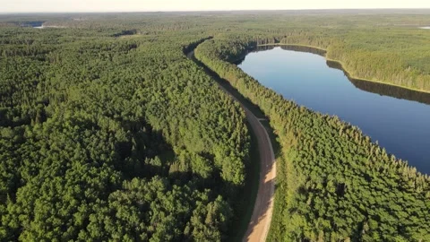 Aerial moving forward over a vast evergreen forest with calm lake and road Stock Footage 289028442