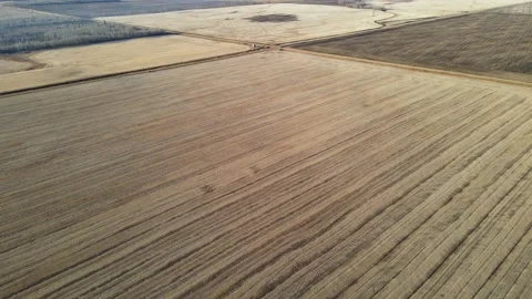 Aerial moving slowly forward above large flat farm fields that are brown after f Stock Footage 220199409