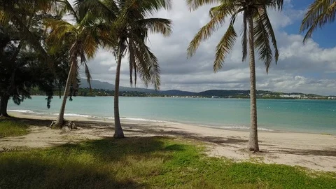 Aerial Moving Through Palm Trees to Reveal Secluded Beach Video stock 101639596