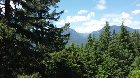 Aerial Mt Rainier 2 Stock Footage 249958671