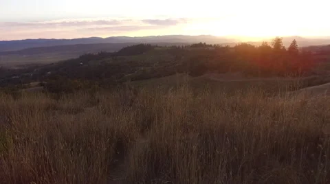 Aerial Napa 5 Stock Footage 54868097