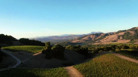 Aerial of Napa Stock Footage 168709909