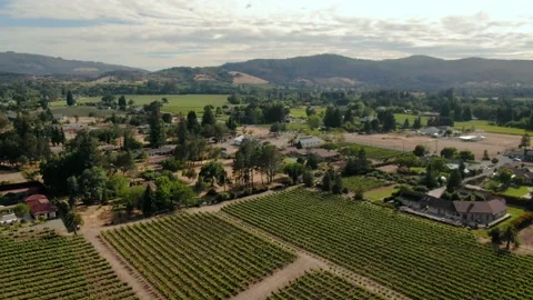 Aerial of Napa Stock Footage 168710000