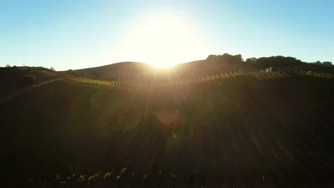 Aerial of Napa Stock Footage 168710028