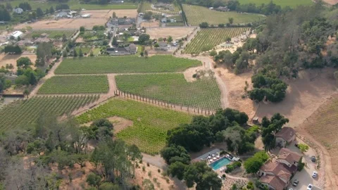 Aerial of Napa Stock Footage 168710215