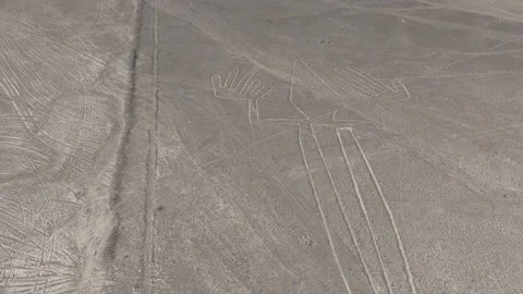 AERIAL of the Nasca lines (Lizard) in the desert of Peru Stockbeeldmateriaal 325348855