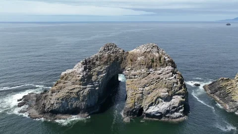 Aerial of a Natural Arch Sea Stack Off the Scenic Oregon Coast Stock Footage 313904005