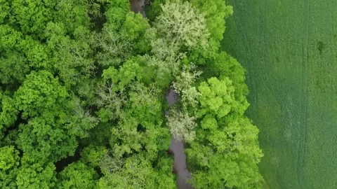 Aerial Nature 03 Stock Footage 294470748