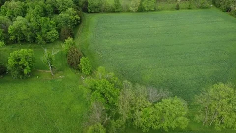 Aerial Nature 08 Stock Footage 294470786