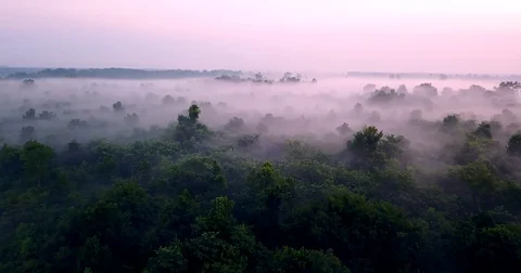 Aerial of Nature and Morning Fog 4K Stock Footage