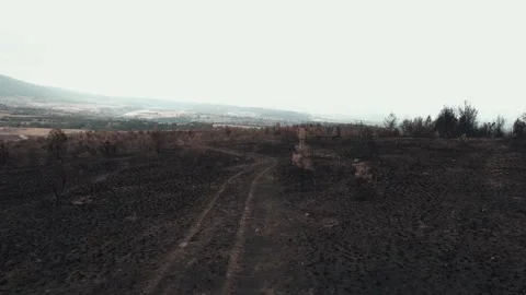 Aerial of nature issues caused by climatte change. 4K Video. Stock-Footage 160850235
