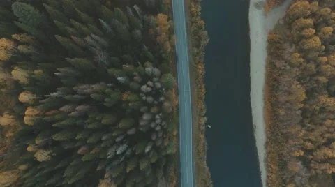 Aerial of nature. River parallel to the road. Tree crown Stock Footage 68354216