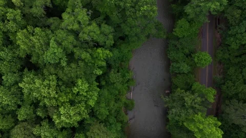 Aerial nature top down of Cahaba River and forest in Vestavia Hills Alabama Vídeo Stock 319936985
