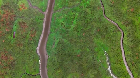 Aerial nature top down geometric patterns in wetlands southern Del Mar San .. Video stock 320793182