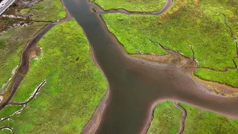 Aerial nature top down geometric patterns in wetlands southern Del Mar San .. Stock Footage 320793992