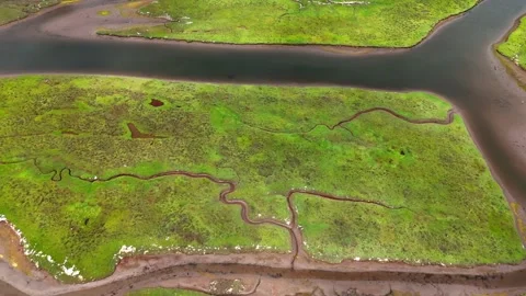 Aerial nature top down geometric patterns in wetlands southern Del Mar San .. Stockbeeldmateriaal 320794017